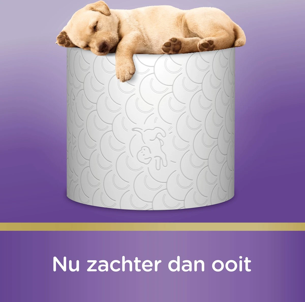 Page Toiletpapier - Kussenzacht Wc Papier - Voordeelverpakking - 24 Rollen - Afbeelding 10