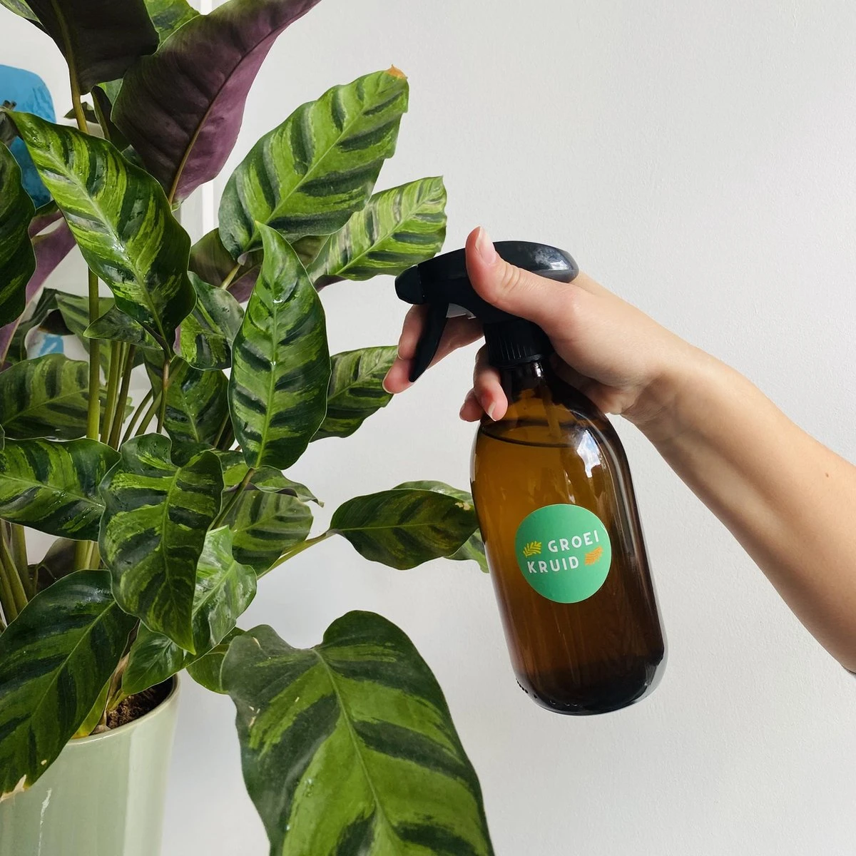 Premium Spray Bottle | 500 Ml Amberglas | Sprayflacon | Spuitfles - Afbeelding 2